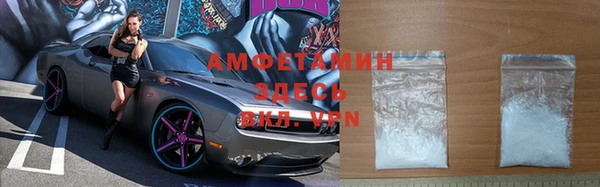 гашик Алексин