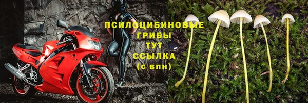 каннабис Алзамай