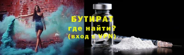 гашик Алексин
