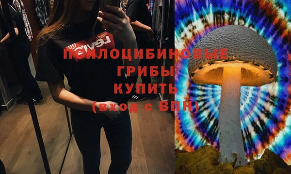каннабис Алзамай