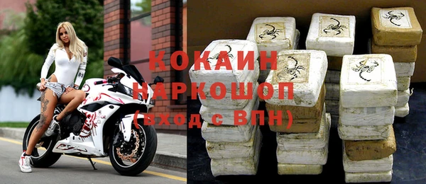 гашик Алексин