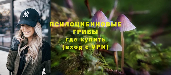 гашик Алексин